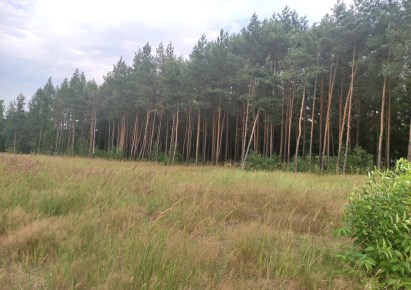 działka na sprzedaż - Puszcza Mariańska, Waleriany