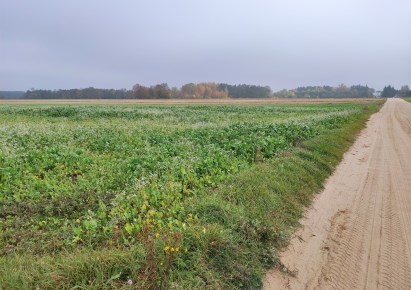 działka na sprzedaż - Joniec, Szumlin